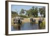 Family of African Elephants-Michele Westmorland-Framed Photographic Print