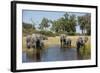 Family of African Elephants-Michele Westmorland-Framed Photographic Print