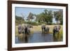 Family of African Elephants-Michele Westmorland-Framed Photographic Print