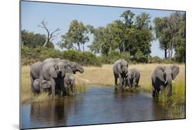 Family of African Elephants-Michele Westmorland-Mounted Photographic Print