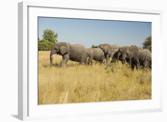 Family of African Elephants-Michele Westmorland-Framed Photographic Print