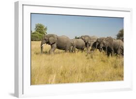 Family of African Elephants-Michele Westmorland-Framed Photographic Print