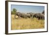 Family of African Elephants-Michele Westmorland-Framed Photographic Print