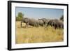 Family of African Elephants-Michele Westmorland-Framed Photographic Print