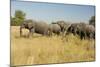 Family of African Elephants-Michele Westmorland-Mounted Photographic Print