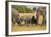 Family of African Elephants-Michele Westmorland-Framed Photographic Print