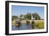 Family of African Elephants-Michele Westmorland-Framed Photographic Print