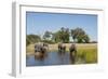 Family of African Elephants-Michele Westmorland-Framed Photographic Print