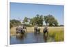 Family of African Elephants-Michele Westmorland-Framed Photographic Print