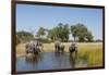 Family of African Elephants-Michele Westmorland-Framed Photographic Print