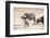 Family of Buffalo (Syncerus Caffer)-Kim Walker-Framed Photographic Print