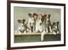 Family of Collies-null-Framed Premium Giclee Print