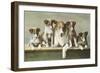 Family of Collies-null-Framed Art Print