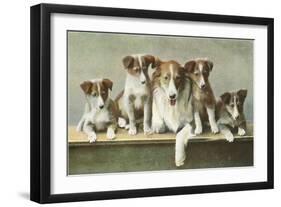 Family of Collies-null-Framed Art Print