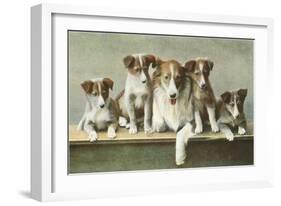 Family of Collies-null-Framed Art Print