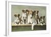 Family of Collies-null-Framed Art Print