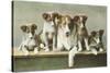 Family of Collies-null-Stretched Canvas