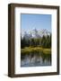 Family of Ducks Swim across the River, Grand Teton National Park, Teton County, Wyoming, Usa-John Warburton-lee-Framed Photographic Print