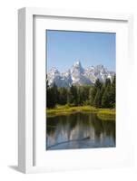 Family of Ducks Swim across the River, Grand Teton National Park, Teton County, Wyoming, Usa-John Warburton-lee-Framed Photographic Print