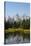 Family of Ducks Swim across the River, Grand Teton National Park, Teton County, Wyoming, Usa-John Warburton-lee-Stretched Canvas