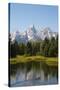 Family of Ducks Swim across the River, Grand Teton National Park, Teton County, Wyoming, Usa-John Warburton-lee-Stretched Canvas