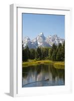 Family of Ducks Swim across the River, Grand Teton National Park, Teton County, Wyoming, Usa-John Warburton-lee-Framed Photographic Print