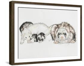 Family of Ferrets-Barbara Keith-Framed Giclee Print