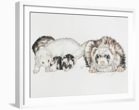 Family of Ferrets-Barbara Keith-Framed Giclee Print