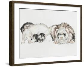 Family of Ferrets-Barbara Keith-Framed Giclee Print