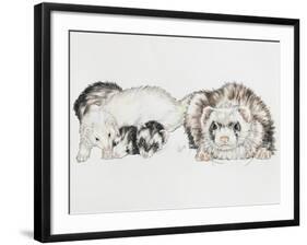 Family of Ferrets-Barbara Keith-Framed Giclee Print