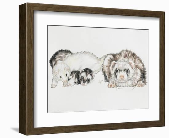 Family of Ferrets-Barbara Keith-Framed Premium Giclee Print