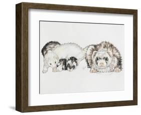 Family of Ferrets-Barbara Keith-Framed Premium Giclee Print