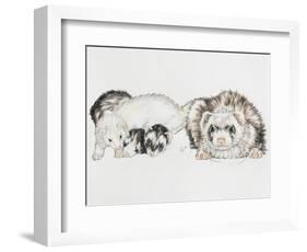 Family of Ferrets-Barbara Keith-Framed Premium Giclee Print