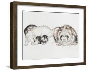 Family of Ferrets-Barbara Keith-Framed Giclee Print