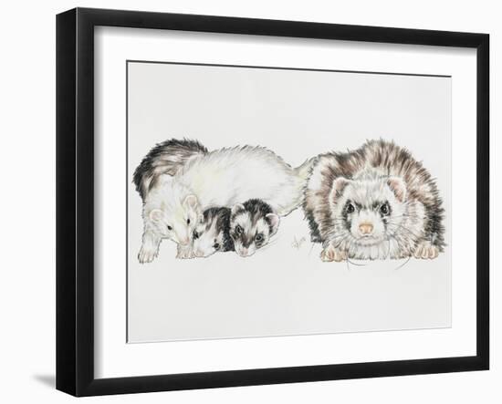 Family of Ferrets-Barbara Keith-Framed Giclee Print