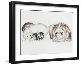 Family of Ferrets-Barbara Keith-Framed Giclee Print