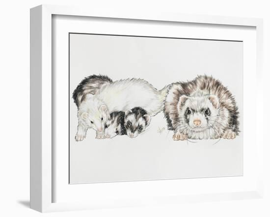 Family of Ferrets-Barbara Keith-Framed Giclee Print