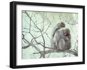 Family of Japanese Macaques Sitting in Tree in Shiga Mountains-Co Rentmeester-Framed Premium Photographic Print