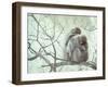 Family of Japanese Macaques Sitting in Tree in Shiga Mountains-Co Rentmeester-Framed Photographic Print