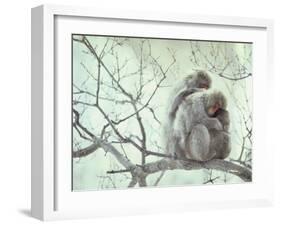 Family of Japanese Macaques Sitting in Tree in Shiga Mountains-Co Rentmeester-Framed Photographic Print