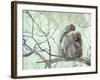 Family of Japanese Macaques Sitting in Tree in Shiga Mountains-Co Rentmeester-Framed Photographic Print