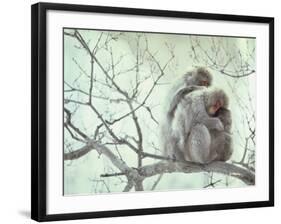 Family of Japanese Macaques Sitting in Tree in Shiga Mountains-Co Rentmeester-Framed Photographic Print