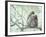 Family of Japanese Macaques Sitting in Tree in Shiga Mountains-Co Rentmeester-Framed Photographic Print