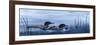 Family of Loons-Kestrel Michaud-Framed Giclee Print