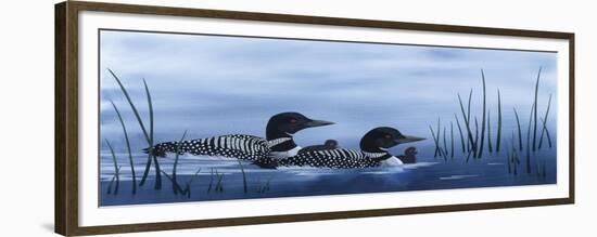 Family of Loons-Kestrel Michaud-Framed Giclee Print