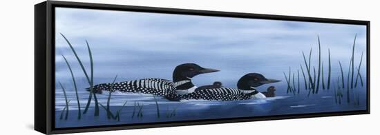 Family of Loons-Kestrel Michaud-Framed Stretched Canvas