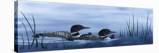 Family of Loons-Kestrel Michaud-Stretched Canvas