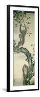 Family of Monkeys in a Tree-null-Framed Giclee Print