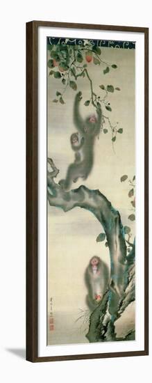 Family of Monkeys in a Tree-null-Framed Giclee Print