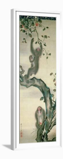 Family of Monkeys in a Tree-null-Framed Giclee Print